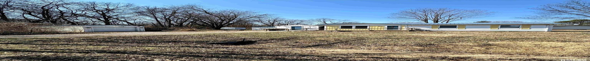 Residential For Sale 909 6TH Street, Murphysboro, Illinois 62966, 3 Bedrooms Bedrooms, ,1 BathroomBathrooms,Residential,For Sale,6TH,RMAEB456976