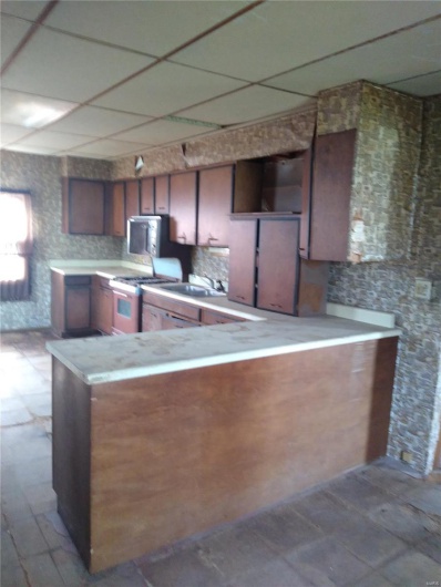 607 Hancock Street, Steeleville, Illinois 62288, 3 Bedrooms Bedrooms, 6 Rooms Rooms,Residential,For Sale,Hancock,MAR25012863