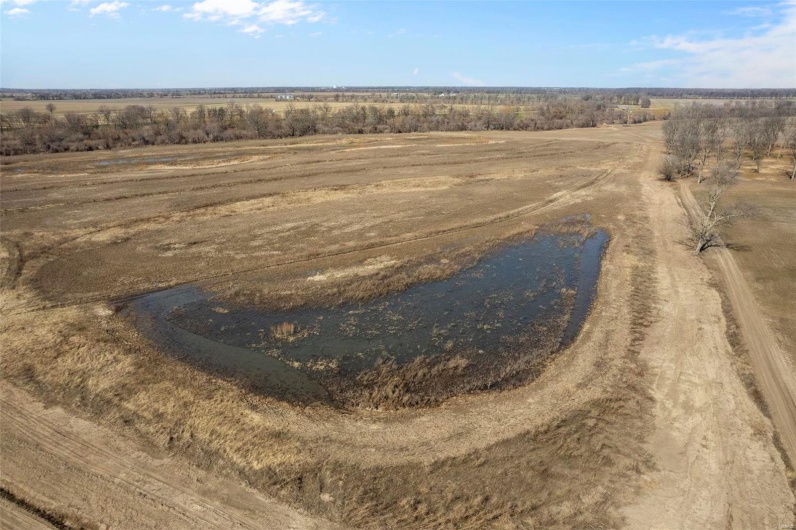 0 County Highway 732, New Madrid, Missouri 63869, ,Farm,For Sale,County Highway 732,MAR24010476