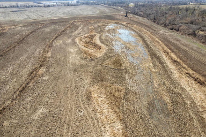 0 County Highway 732, New Madrid, Missouri 63869, ,Farm,For Sale,County Highway 732,MAR24010476