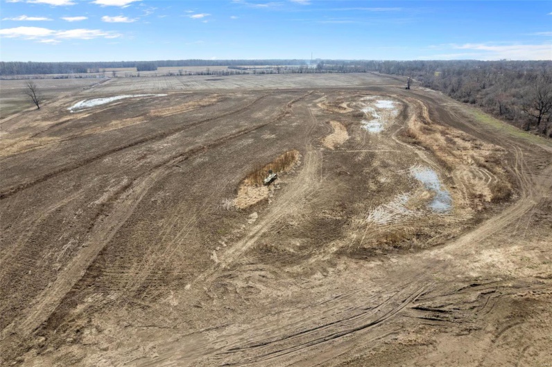 0 County Highway 732, New Madrid, Missouri 63869, ,Farm,For Sale,County Highway 732,MAR24010476