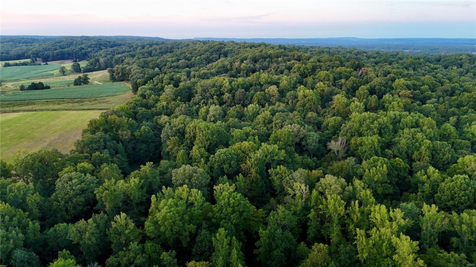 0 County Road 651, Cape Girardeau, Missouri 63701, ,Farm,For Sale,County Road 651,MAR25013154