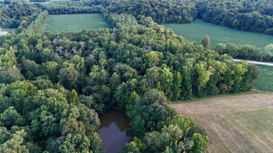 0 County Road 651, Cape Girardeau, Missouri 63701, ,Farm,For Sale,County Road 651,MAR25013154
