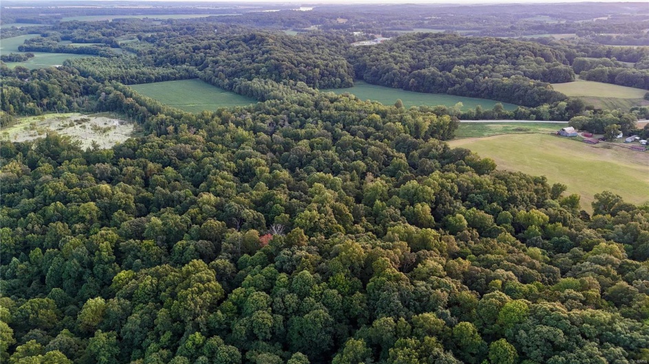 0 County Road 651, Cape Girardeau, Missouri 63701, ,Farm,For Sale,County Road 651,MAR25013154