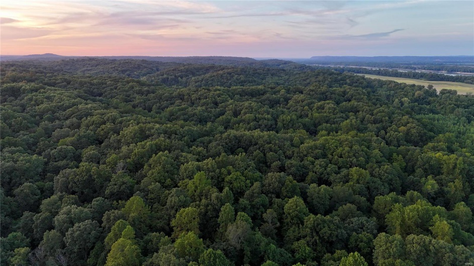 0 County Road 651, Cape Girardeau, Missouri 63701, ,Farm,For Sale,County Road 651,MAR25013154