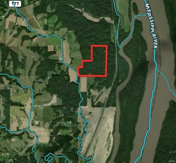 0 County Road 651, Cape Girardeau, Missouri 63701, ,Farm,For Sale,County Road 651,MAR25013154