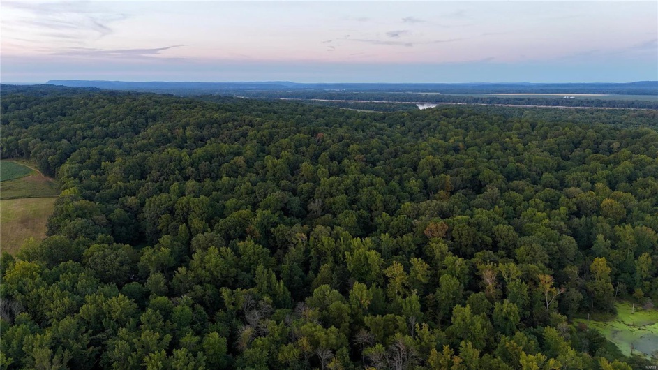 0 County Road 651, Cape Girardeau, Missouri 63701, ,Farm,For Sale,County Road 651,MAR25013154