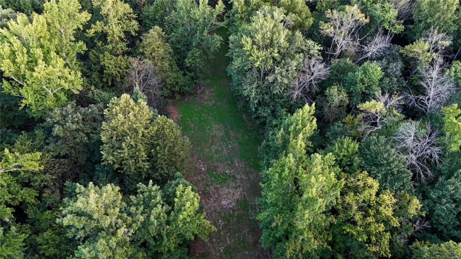 0 County Road 651, Cape Girardeau, Missouri 63701, ,Farm,For Sale,County Road 651,MAR25013154