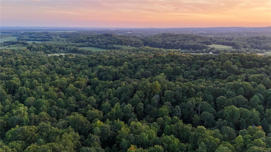 0 County Road 651, Cape Girardeau, Missouri 63701, ,Farm,For Sale,County Road 651,MAR25013154