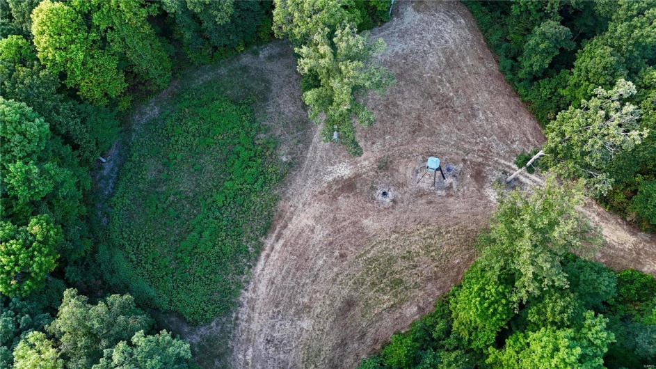 0 County Road 651, Cape Girardeau, Missouri 63701, ,Farm,For Sale,County Road 651,MAR25013154