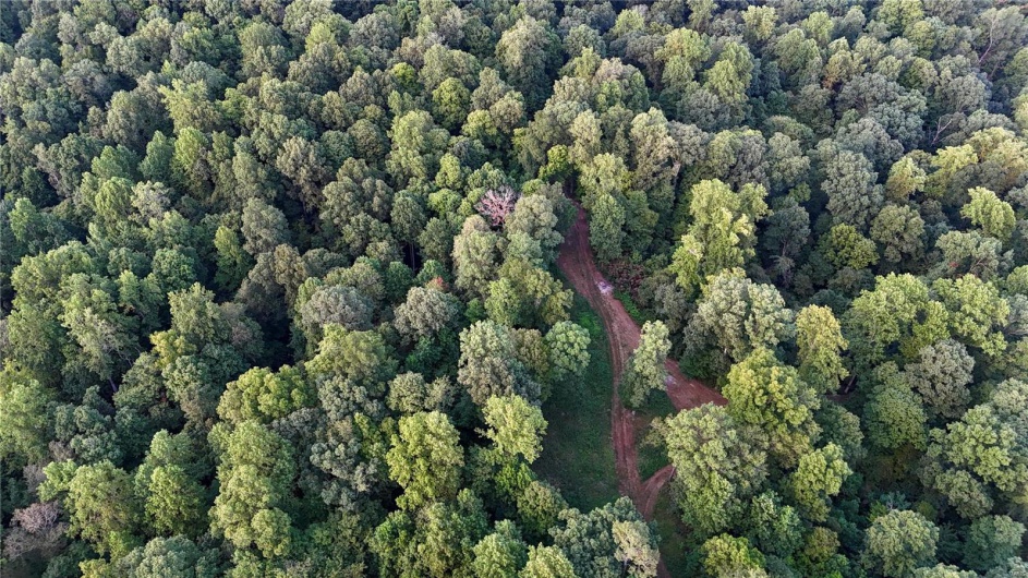 0 County Road 651, Cape Girardeau, Missouri 63701, ,Farm,For Sale,County Road 651,MAR25013154