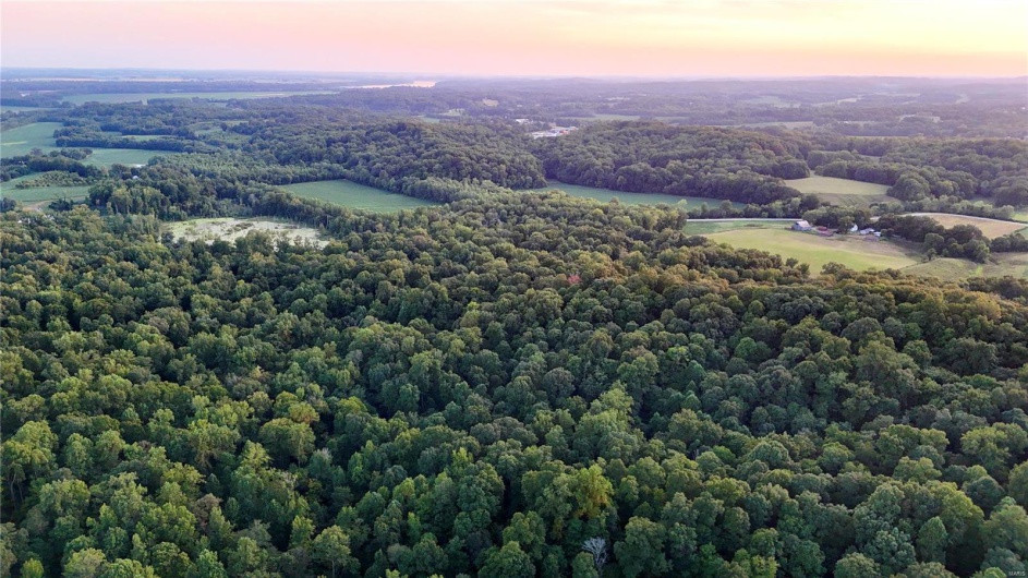 0 County Road 651, Cape Girardeau, Missouri 63701, ,Farm,For Sale,County Road 651,MAR25013154