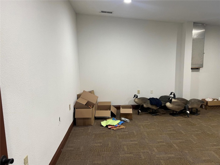 Misc room with baseboards, visible vents, and carpet flooring