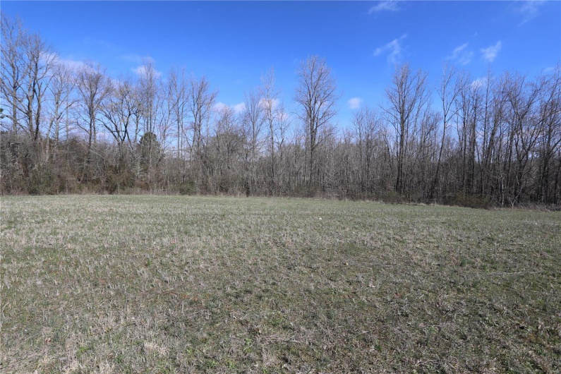 0 Long Road, Williamsville, Missouri 63967, ,Land,For Sale,Long Road,MAR23015373