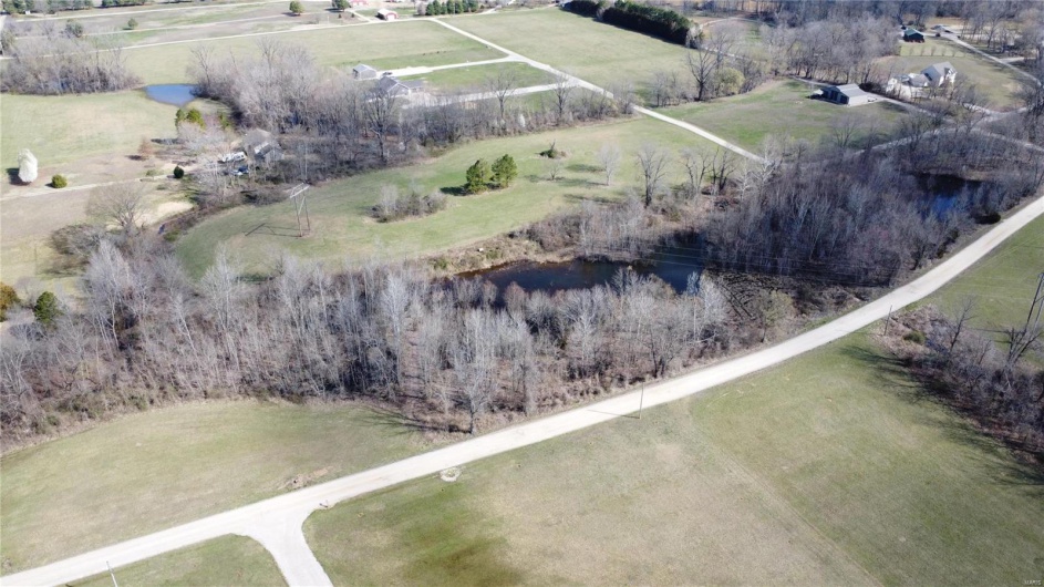 0 Long Road, Williamsville, Missouri 63967, ,Land,For Sale,Long Road,MAR23015373