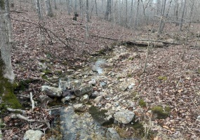 0 Private Rd. 9516, Fredericktown, Missouri 63645, ,Farm,For Sale,Private Rd. 9516,MAR25013180