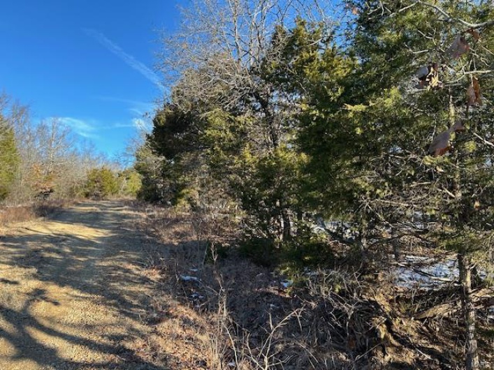 View of road