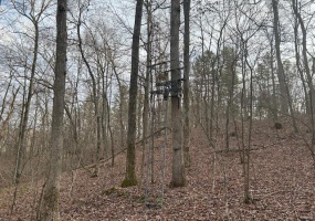 1 Private Rd. 9516, Fredericktown, Missouri 63645, ,Farm,For Sale,Private Rd. 9516,MAR25013184