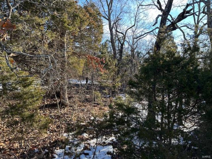 View of local wilderness featuring a view of trees