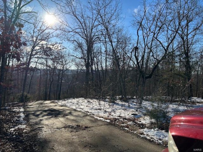 View of road with a forest view