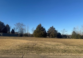 0 Paradise Lane, Poplar Bluff, Missouri 63901, ,Land,For Sale,Paradise,MAR25013162