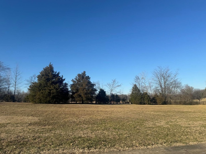 View of yard with a rural view