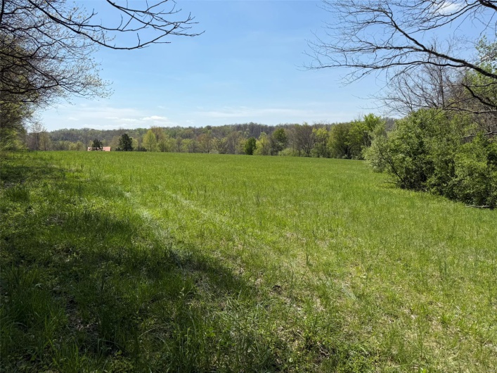 434 Whispering Wind Lane, Cape Girardeau, Missouri 63701, 3 Bedrooms Bedrooms, 7 Rooms Rooms,2 BathroomsBathrooms,Residential,For Sale,Whispering Wind,MAR25013213