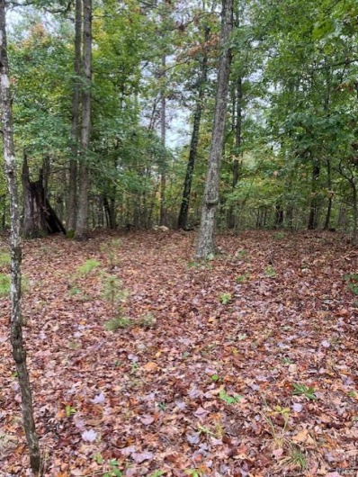152 Madison CR 410, Fredericktown, Missouri 63645, ,Farm,For Sale,Madison CR 410,MAR25013337