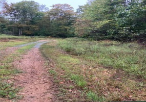 153 Madison CR 410, Fredericktown, Missouri 63645, ,Farm,For Sale,Madison CR 410,MAR25013341
