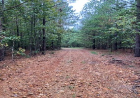 154 Madison CR 410, Fredericktown, Missouri 63645, ,Farm,For Sale,Madison CR 410,MAR25013351