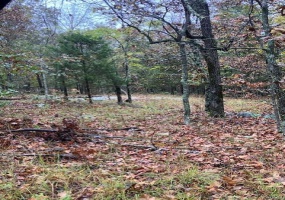155 Madison CR 410, Fredericktown, Missouri 63645, ,Farm,For Sale,Madison CR 410,MAR25013355