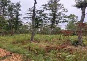 156 Madison CR 410, Fredericktown, Missouri 63645, ,Farm,For Sale,Madison CR 410,MAR25013360