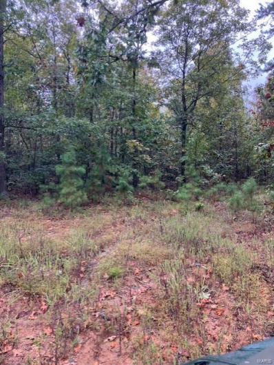 156 Madison CR 410, Fredericktown, Missouri 63645, ,Farm,For Sale,Madison CR 410,MAR25013360