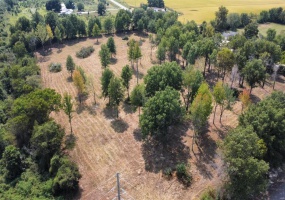 0 Highway 51, Fisk, Missouri 63940, ,Land,For Sale,Highway 51,MAR24057521