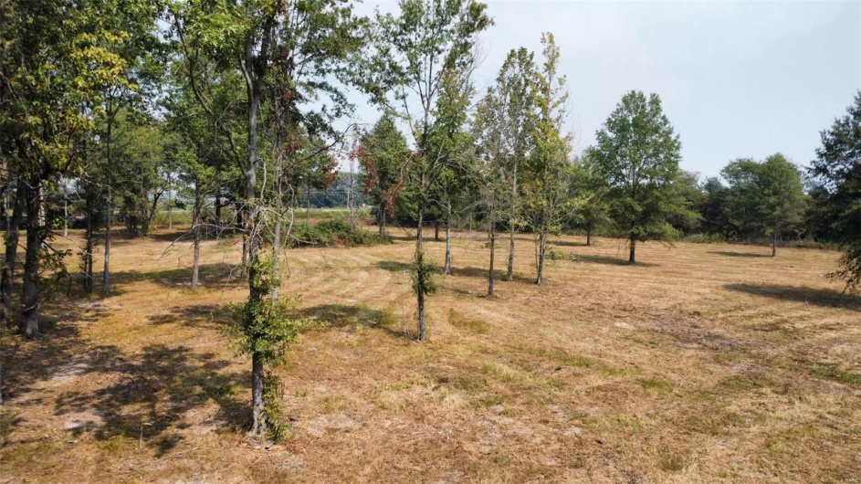 0 Highway 51, Fisk, Missouri 63940, ,Land,For Sale,Highway 51,MAR24057521