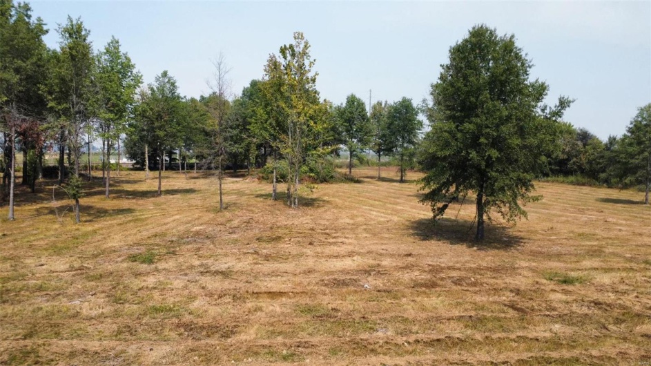 0 Highway 51, Fisk, Missouri 63940, ,Land,For Sale,Highway 51,MAR24057521