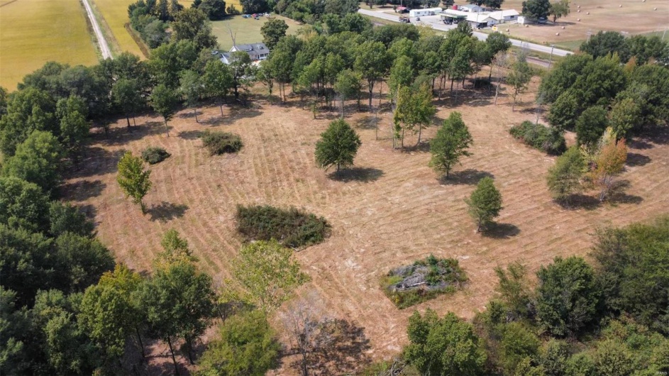 0 Highway 51, Fisk, Missouri 63940, ,Land,For Sale,Highway 51,MAR24057521