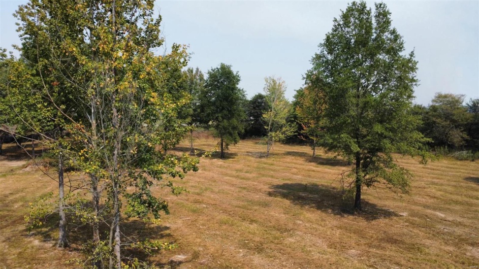 0 Highway 51, Fisk, Missouri 63940, ,Land,For Sale,Highway 51,MAR24057521