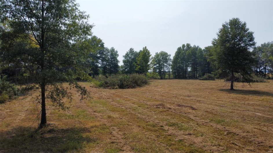 0 Highway 51, Fisk, Missouri 63940, ,Land,For Sale,Highway 51,MAR24057521