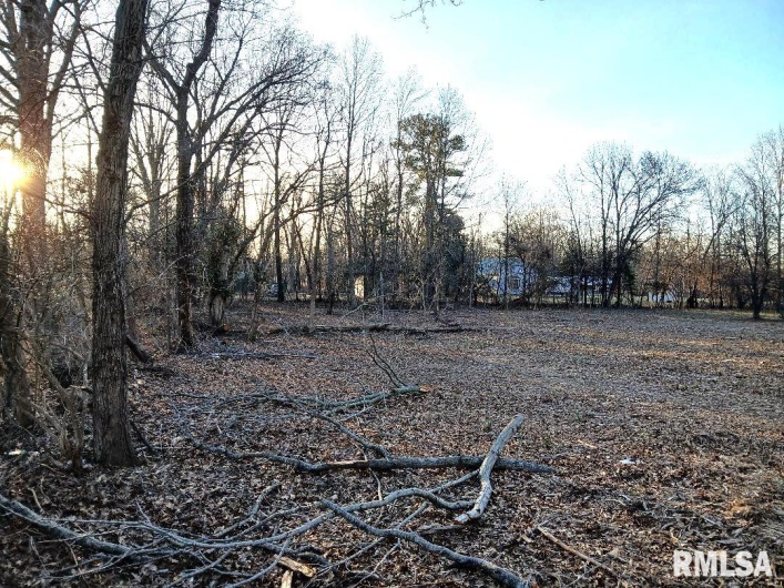 TBD BLOOMINGTON Road, Marion, Illinois 62959, 0 , 0 ,0,Land,For Sale,BLOOMINGTON,0,RMAEB457016