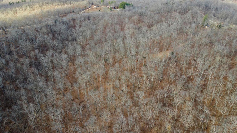 0 RR 5 Box 3965, Marble Hill, Missouri 63764, ,Farm,For Sale,RR 5 Box 3965,MAR25012538