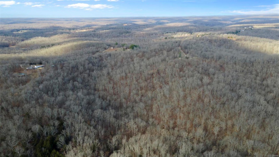0 RR 5 Box 3965, Marble Hill, Missouri 63764, ,Farm,For Sale,RR 5 Box 3965,MAR25012538