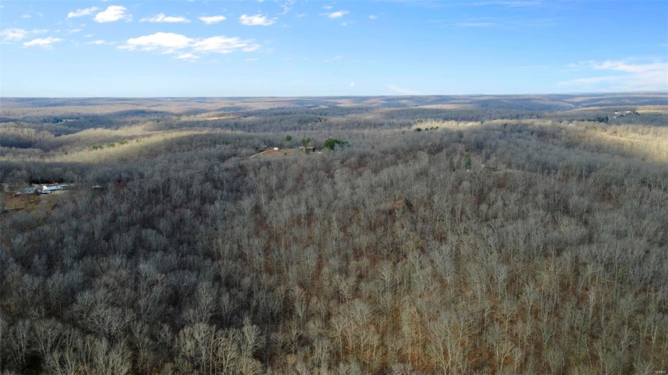 0 RR 5 Box 3965, Marble Hill, Missouri 63764, ,Farm,For Sale,RR 5 Box 3965,MAR25012538