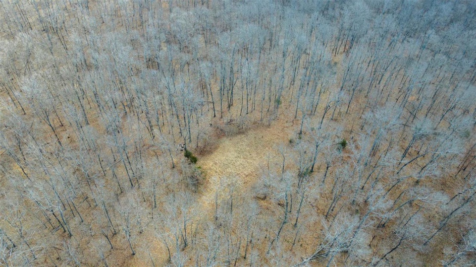 0 RR 5 Box 3965, Marble Hill, Missouri 63764, ,Farm,For Sale,RR 5 Box 3965,MAR25012538