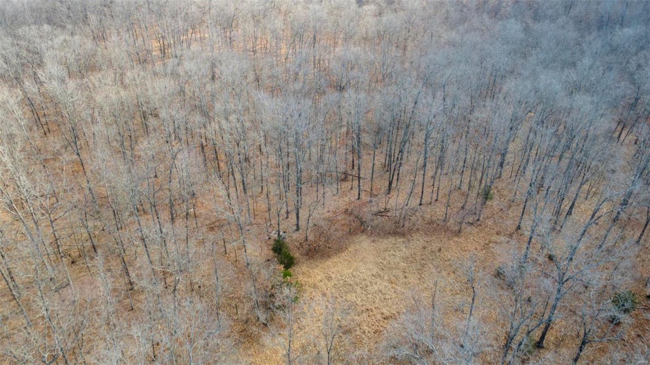 0 RR 5 Box 3965, Marble Hill, Missouri 63764, ,Farm,For Sale,RR 5 Box 3965,MAR25012538