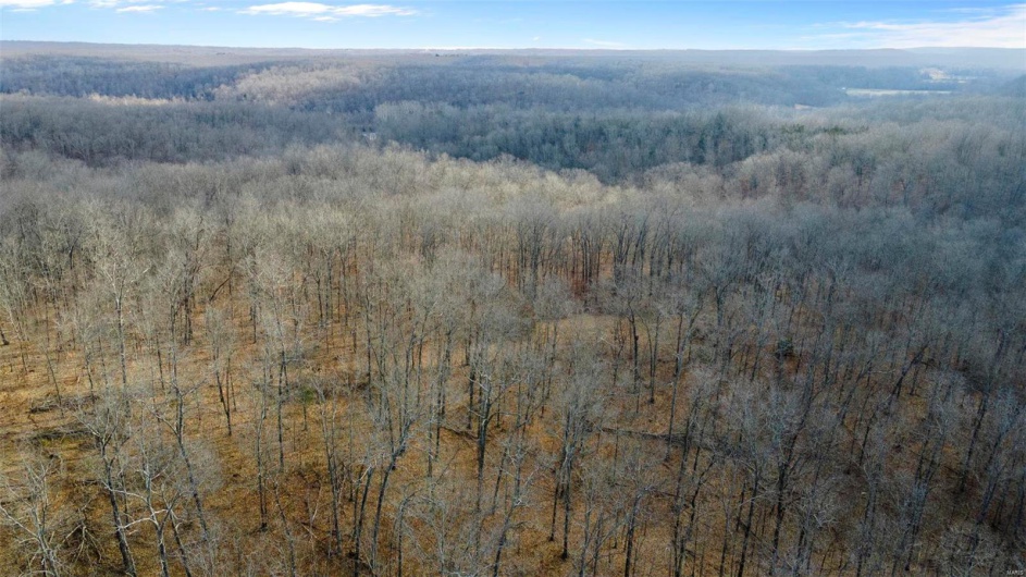 0 RR 5 Box 3965, Marble Hill, Missouri 63764, ,Farm,For Sale,RR 5 Box 3965,MAR25012538