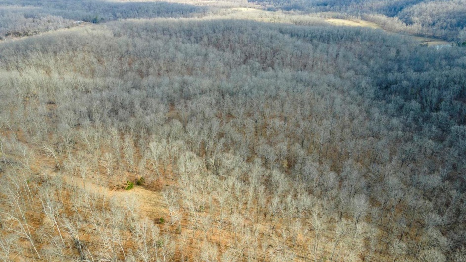 0 RR 5 Box 3965, Marble Hill, Missouri 63764, ,Farm,For Sale,RR 5 Box 3965,MAR25012538