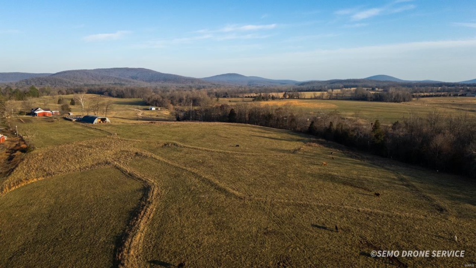 0 Highway N Angus Lane 1, Patterson, Missouri 63956, 3 Bedrooms Bedrooms, 6 Rooms Rooms,2 BathroomsBathrooms,Farm,For Sale,Highway N Angus Lane 1,MAR25013664