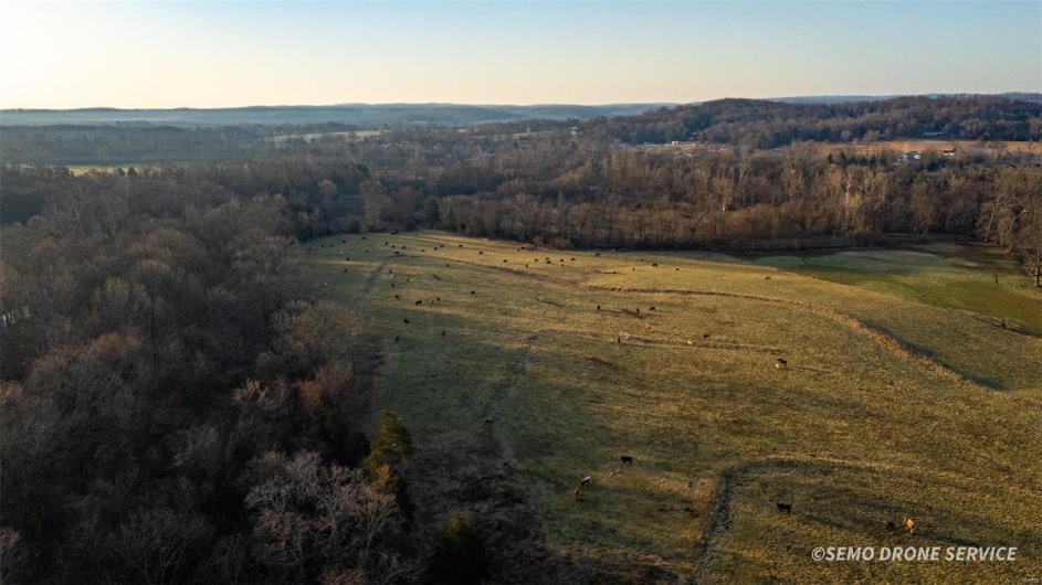 0 Highway N Angus Lane 1, Patterson, Missouri 63956, 3 Bedrooms Bedrooms, 6 Rooms Rooms,2 BathroomsBathrooms,Farm,For Sale,Highway N Angus Lane 1,MAR25013664