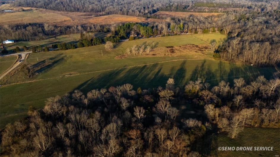 0 Highway N Angus Lane 1, Patterson, Missouri 63956, 3 Bedrooms Bedrooms, 6 Rooms Rooms,2 BathroomsBathrooms,Farm,For Sale,Highway N Angus Lane 1,MAR25013664